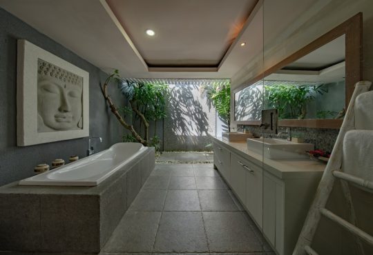 Photo Bathroom shelves