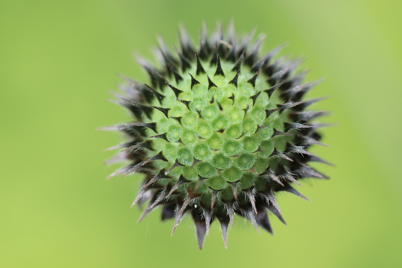 Compacte modulaire tuinschuur naast bloementuin.