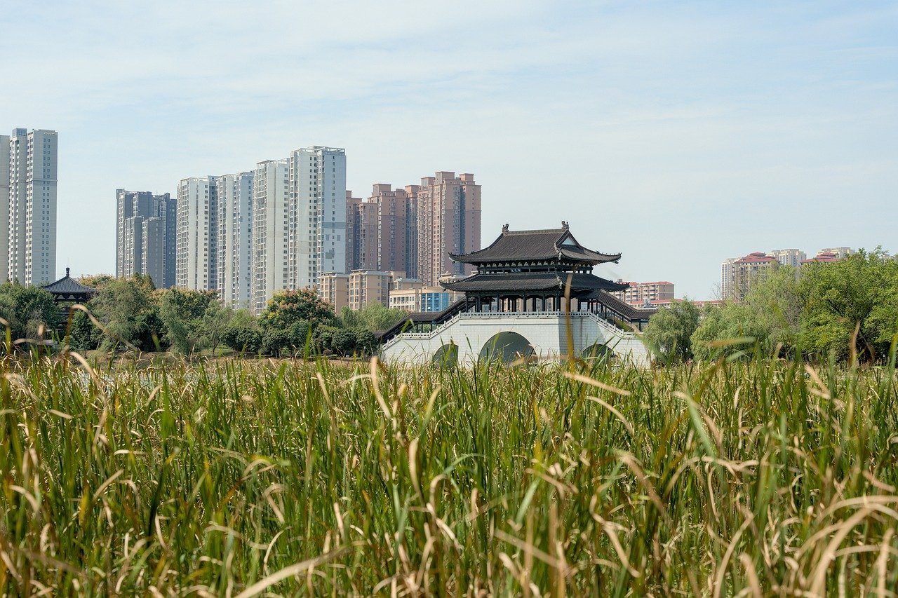 Regenwatervat naast bloeiende stadstuin.