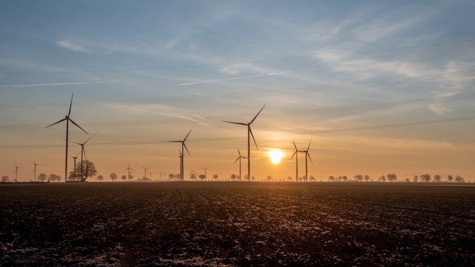 Energiezuinige lampen bediend via app. Energiezuinige lampen bediend via app.