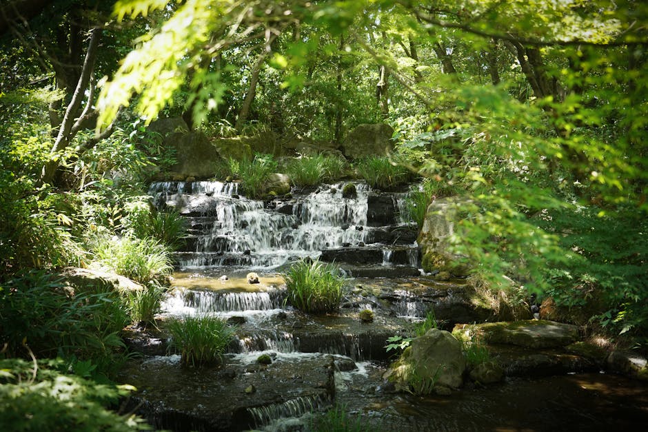 Hoe Japanse waterdruppelaartjes jouw tuin omtoveren