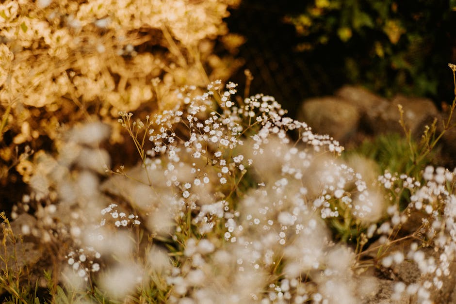 Hoe je tuin klaar te maken voor hete zomerdagen