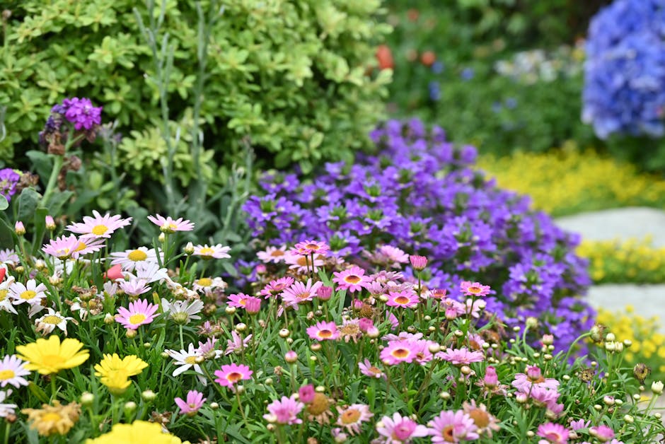 Tuin vol mulch ter bescherming tegen hitte.
