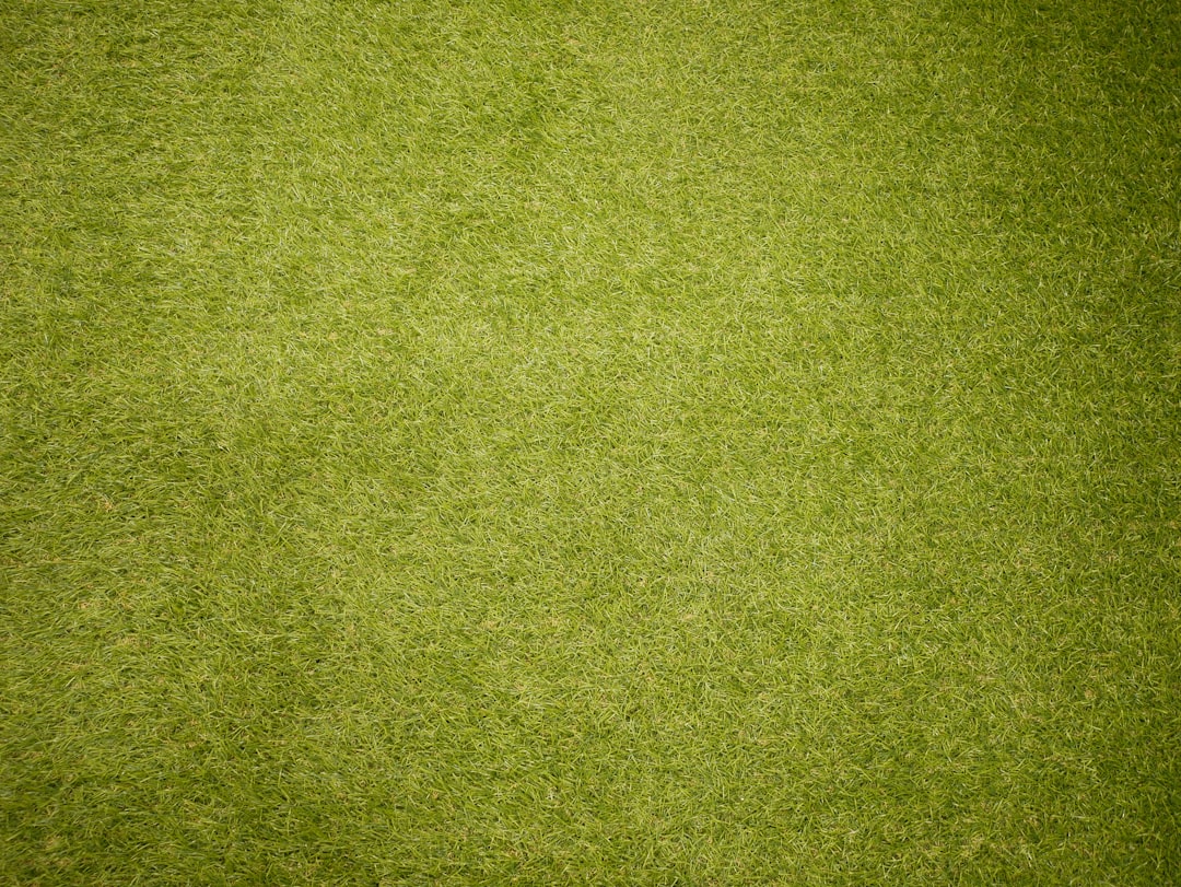 Koele tinten: hoe je groene gordijnen in je interieur kunt integreren