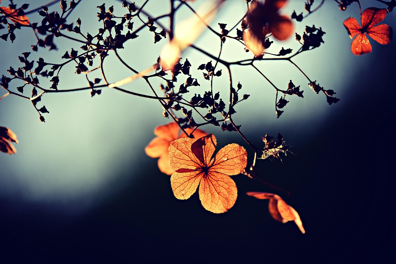 Diverse herfsttinten gedroogde bloemen in glazen vaas.